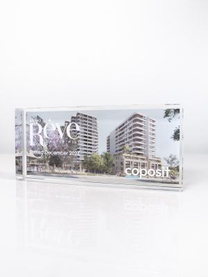 Housing Development Deal Toy | Design Awards | Custom Crystal Tombstone