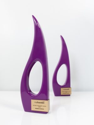 Design Awards Torch Arthouse My Guardian Award